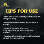 shilajit-uses-tips